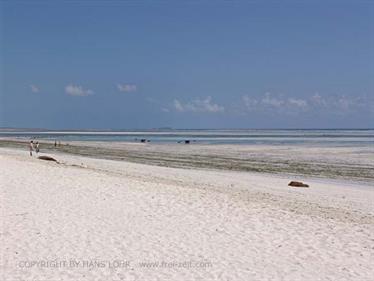 Beach walk, Zanzibar, DSC07159b